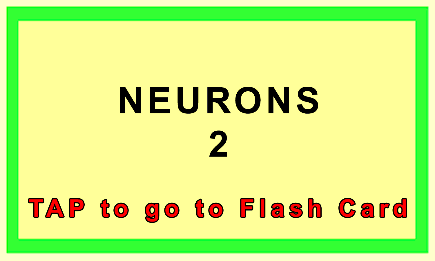 Neurons Front